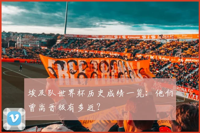 埃及队世界杯历史成绩一览：他们曾离晋级有多近？